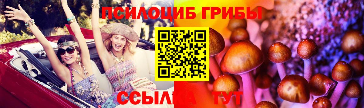 Галлюциногенные грибы мухоморы Лосино-Петровский